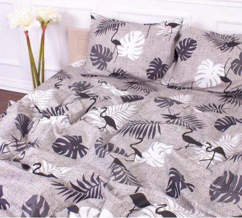 Комплект постельного белья Микрофибра принт 15-0234 Montane - 2