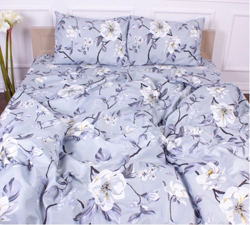 Комплект постельного белья Микрофибра принт 15-0589 Liberty 