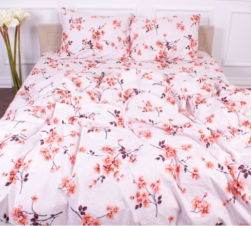 Комплект постельного белья Микрофибра принт 15-0211 Astana 