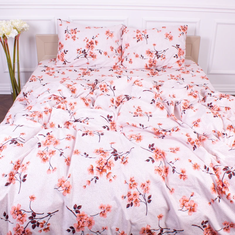 Комплект постельного белья Микрофибра принт 15-0211 Astana 