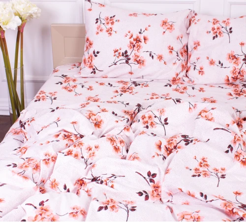 Комплект постельного белья Микрофибра принт 15-0211 Astana  - 2