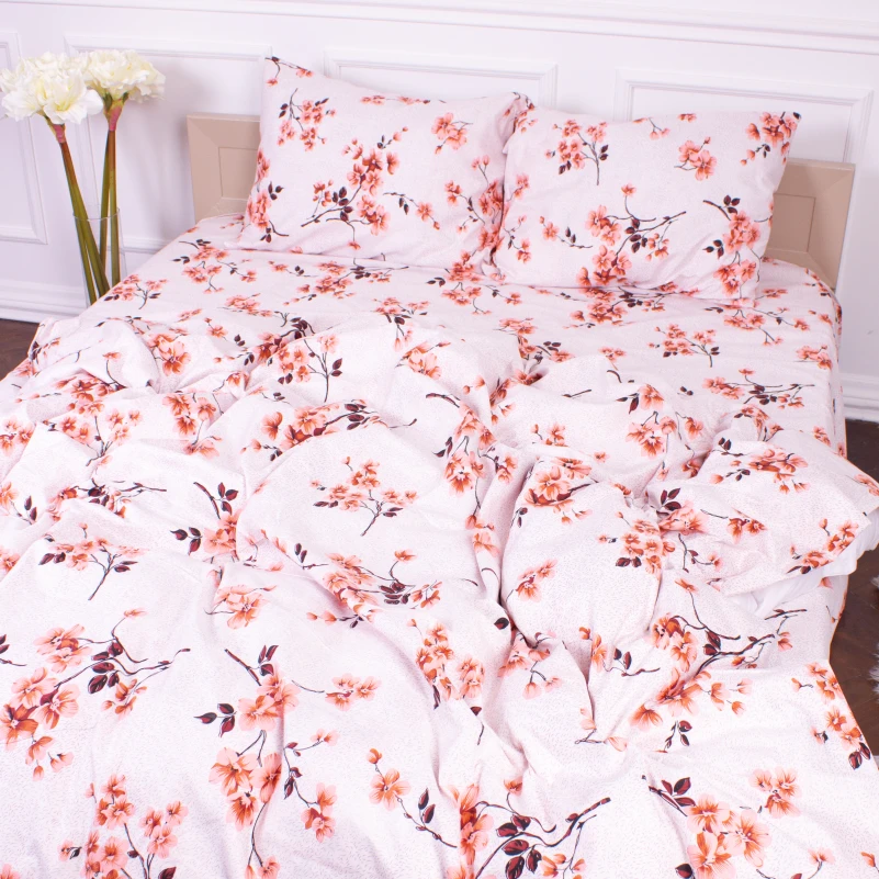 Комплект постельного белья Микрофибра принт 15-0211 Astana  - 2