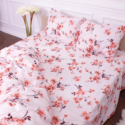 Простынь Микрофибра принт 15-0211 Astana 