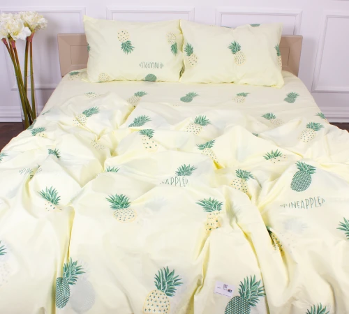 Комплект постельного белья Микрофибра принт 15-0602 Ananas 