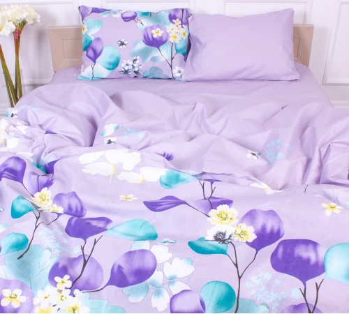 Комплект постельного белья Микрофибра принт 15-0246 Davies