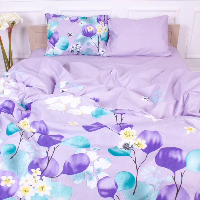 Комплект постельного белья Микрофибра принт 15-0246 