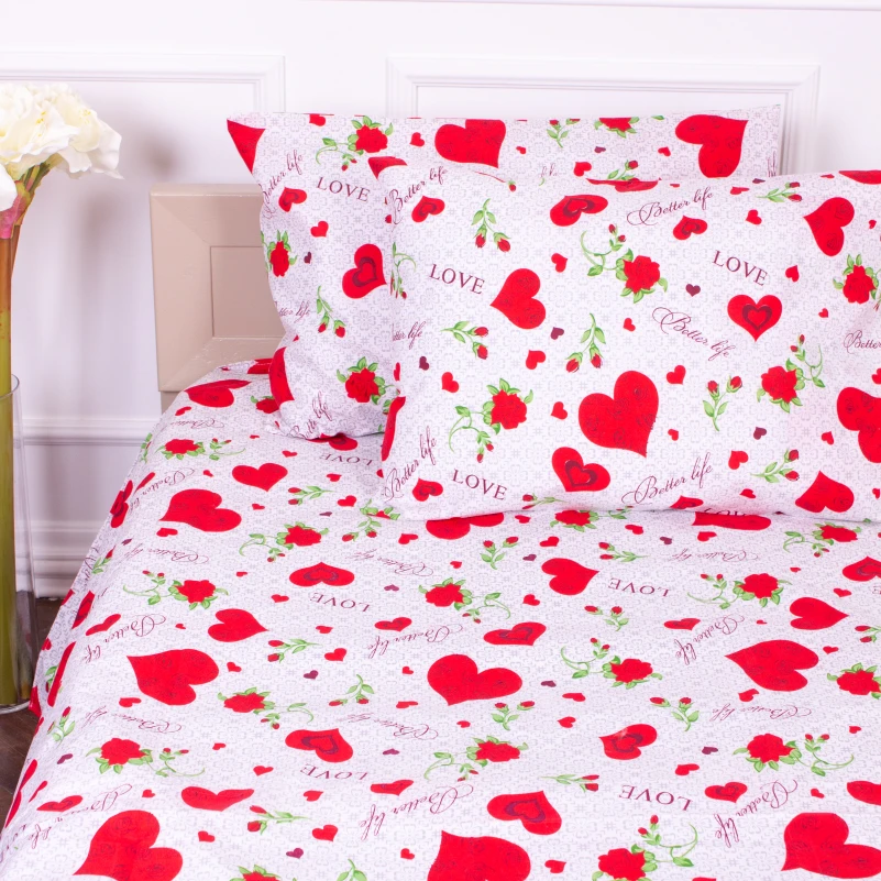 Комплект постельного белья Микрофибра принт 15-0223 Libreville - 3