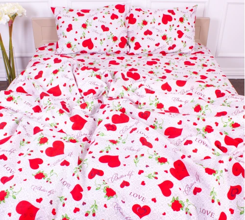 Комплект постельного белья Микрофибра принт 15-0223 Libreville 