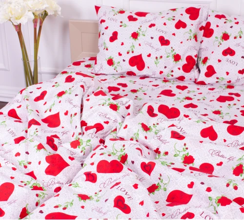 Комплект постельного белья Микрофибра принт 15-0223 Libreville  - 2