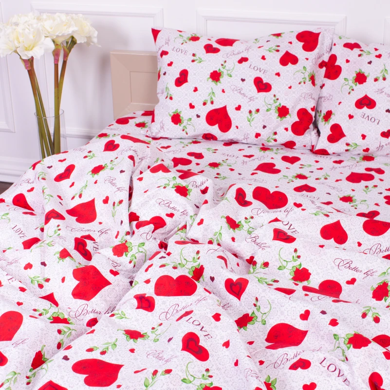 Комплект постельного белья Микрофибра принт 15-0223 Libreville - 1