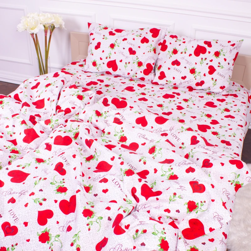 Комплект постельного белья Микрофибра принт 15-0223 Libreville - 2