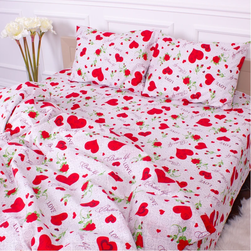 Комплект постельного белья Микрофибра принт 15-0223 Libreville - 4