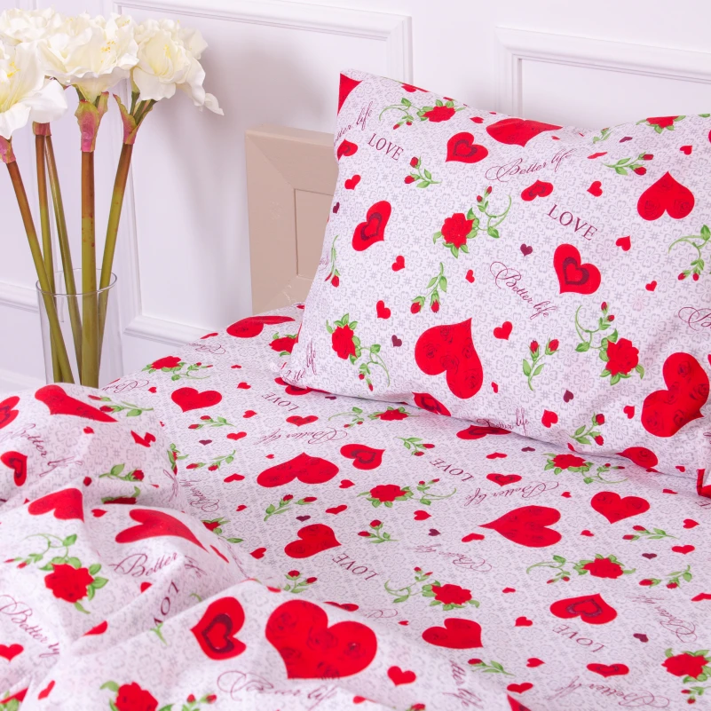 Комплект постельного белья Микрофибра принт 15-0223 Libreville - 5