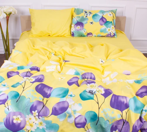 Комплект постельного белья Микрофибра принт 15-0247 Ralph 