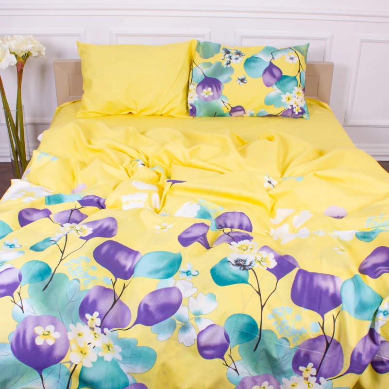 Комплект постельного белья Микрофибра принт 15-0247 Ralph