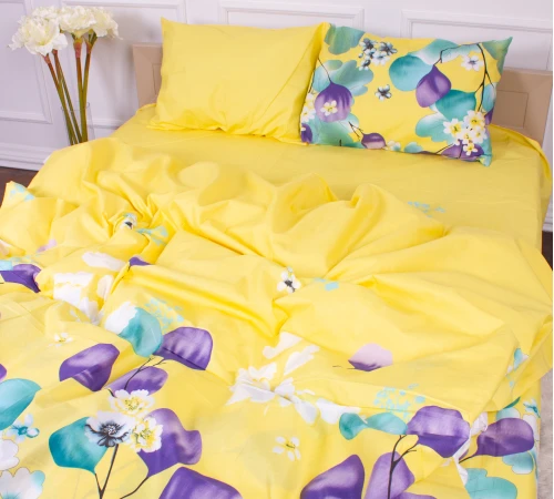 Комплект постельного белья Микрофибра принт 15-0247 Ralph  - 2
