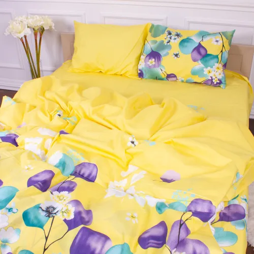 Підковдра Мікрофібра принт 15-0247 Ralph 