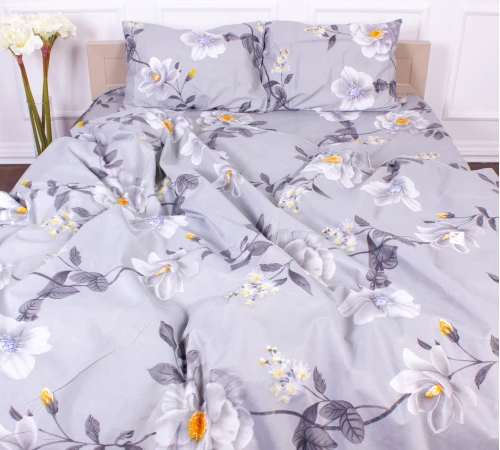 Комплект постельного белья Микрофибра принт 15-0235 Dulness