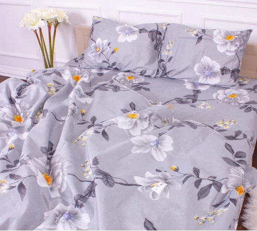 Комплект постельного белья Микрофибра принт 15-0235 Dulness - 2