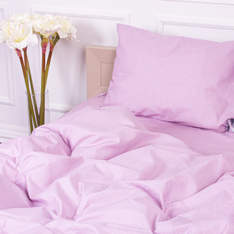 Комплект постельного белья Микрофибра принт 15-0261 Joan - 2