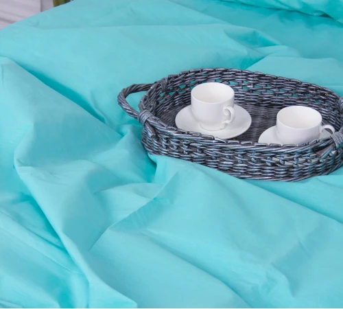 Підковдра Бязь 11-2208 Мint - 2