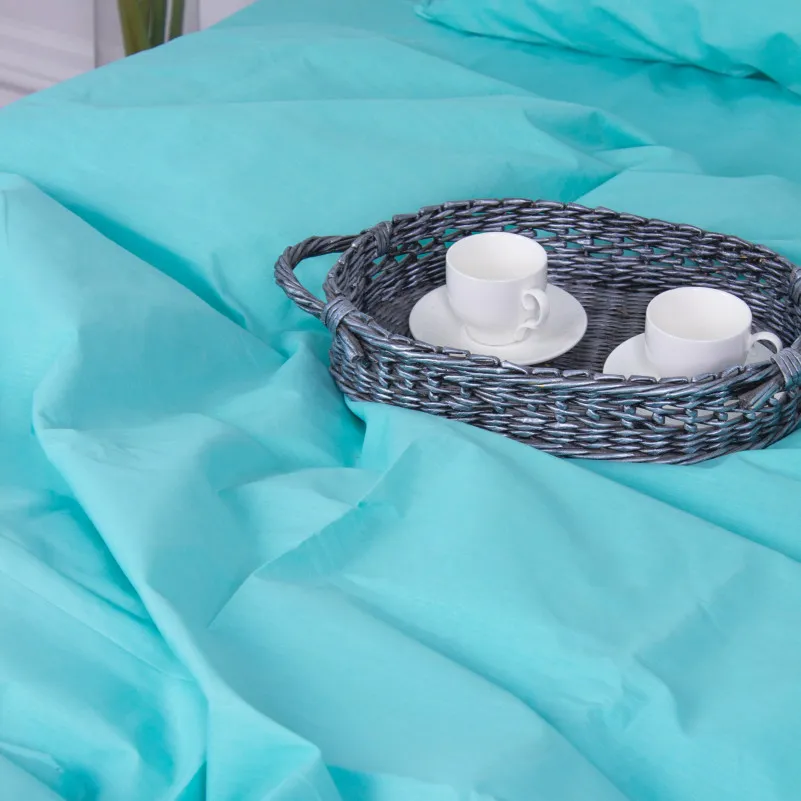 Пододеяльник Бязь 11-2208 Мint - 1