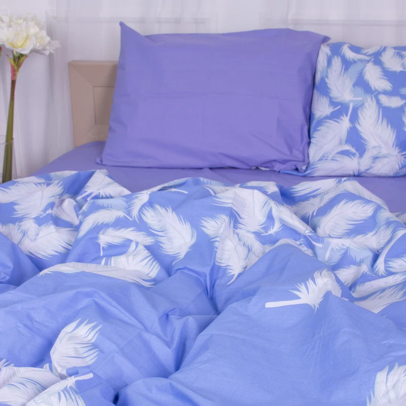 Комплект постельного белья Ranforce Elite 17-0590 Feathers - 2