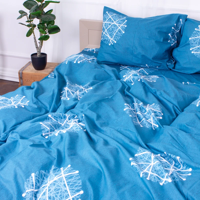 Комплект постельного белья Сатин 22-1288 Iridescent - 4