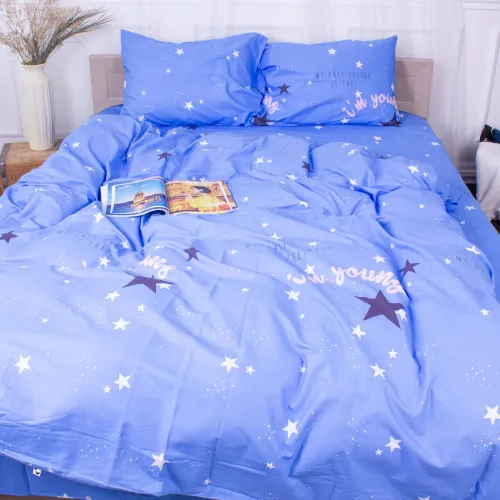 Комплект постельного белья Сатин 22-1295 Cradle