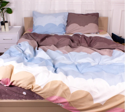 Комплект постельного белья Микрофибра принт 15-0360 Bacchus