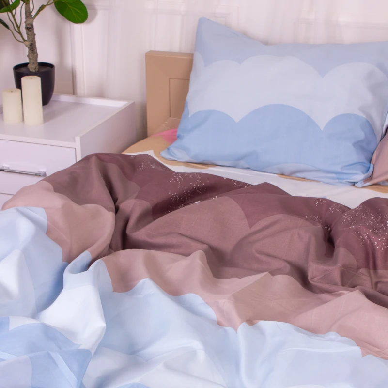 Комплект постельного белья Микрофибра принт 15-0360 Bacchus - 4