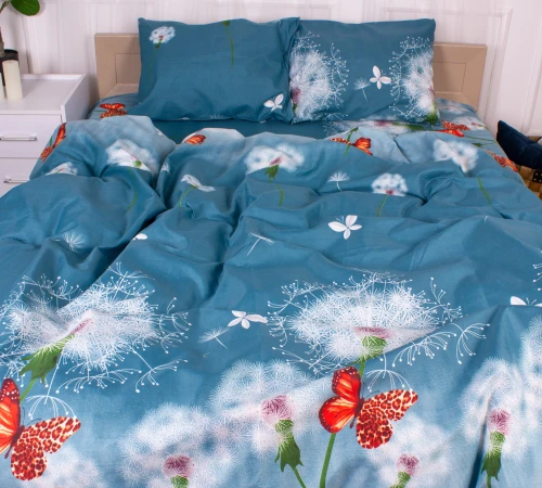 Комплект постельного белья Микрофибра принт 15-0349 Hera