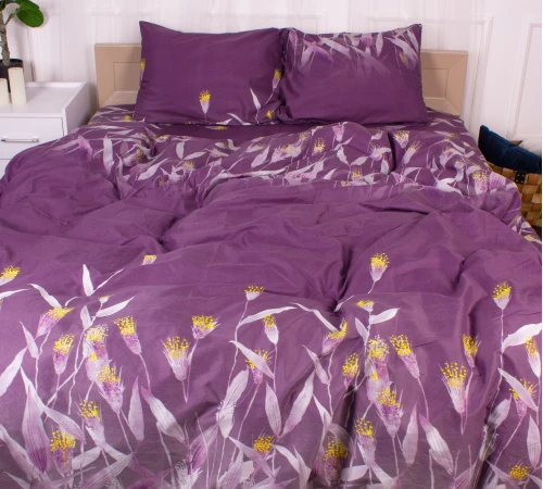 Комплект постельного белья Микрофибра принт 15-0350 Juno
