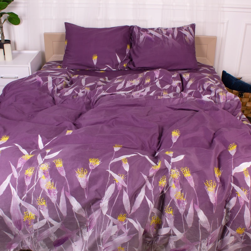 Комплект постельного белья Микрофибра принт 15-0350 Juno