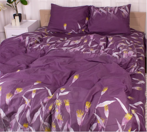 Комплект постельного белья Микрофибра принт 15-0350 Juno - 2