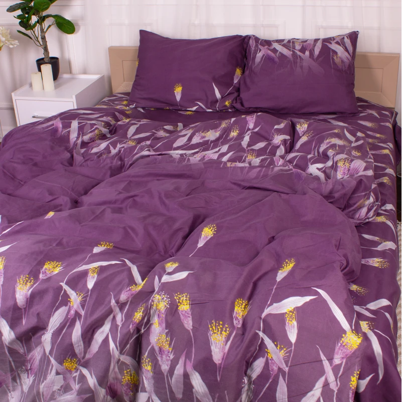 Комплект постельного белья Микрофибра принт 15-0350 Juno - 1