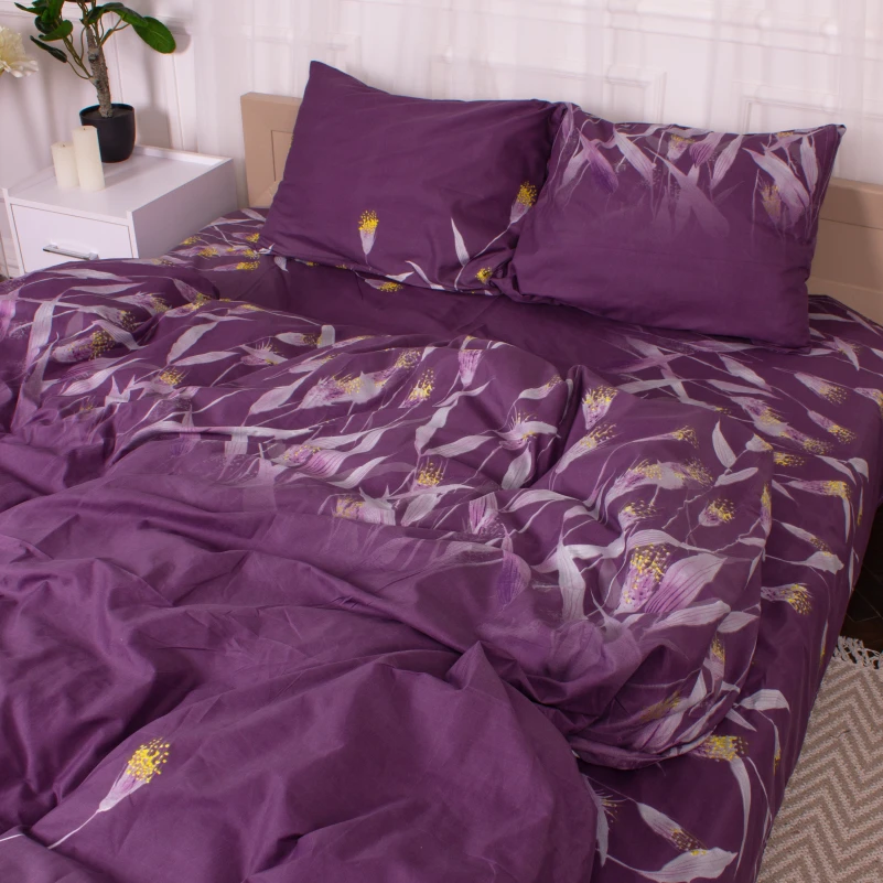 Комплект постельного белья Микрофибра принт 15-0350 Juno - 3