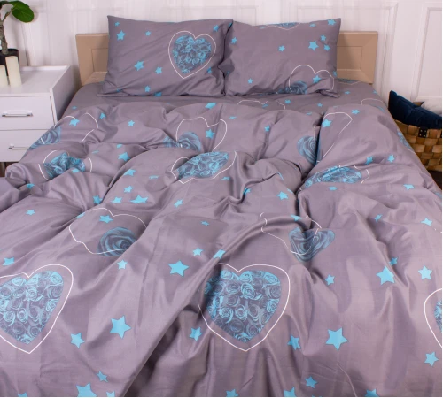 Комплект постельного белья Микрофибра принт 15-0347 Jupiter