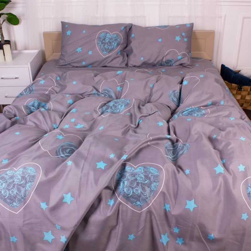 Комплект постільної білизни Мікрофібра принт 15-0347 Jupiter