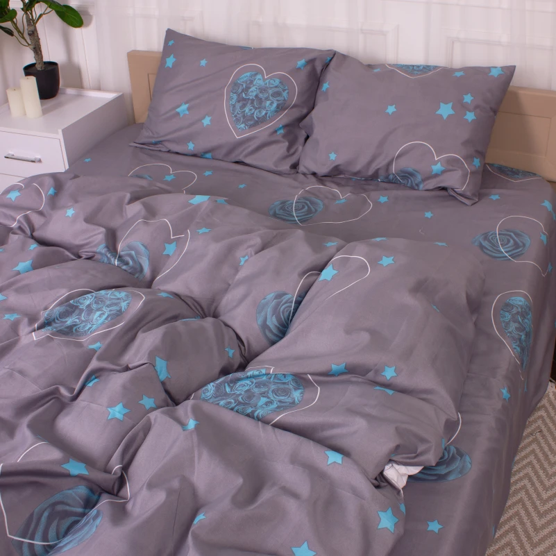 Комплект постільної білизни Мікрофібра принт 15-0347 Jupiter - 2