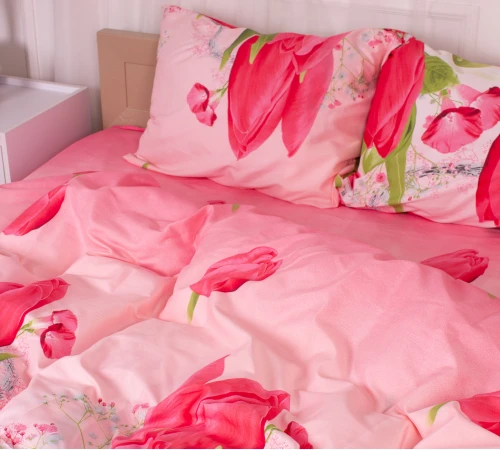 Простирадло Мікрофібра принт 15-0367 Athena - 2