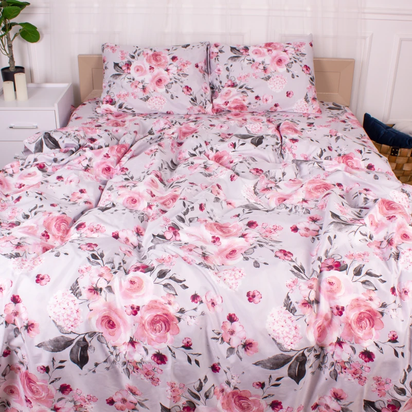 Комплект постільної білизни Мікрофібра принт 15-0368 Minerva