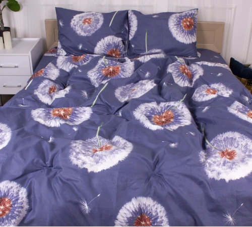 Комплект постельного белья Микрофибра принт 15-0355 Hephaestus