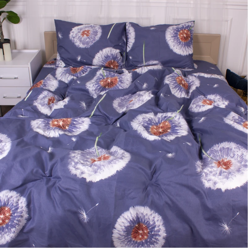 Комплект постільної білизни Мікрофібра принт 15-0355 Hephaestus