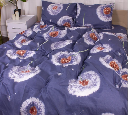 Комплект постельного белья Микрофибра принт 15-0355 Hephaestus - 2