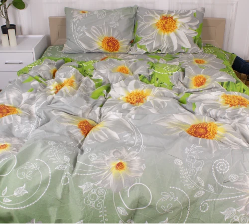 Комплект постельного белья Микрофибра принт 15-0001 Manila