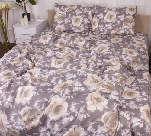 Комплект постельного белья Микрофибра принт 15-0371 Ancient Greeks - 2