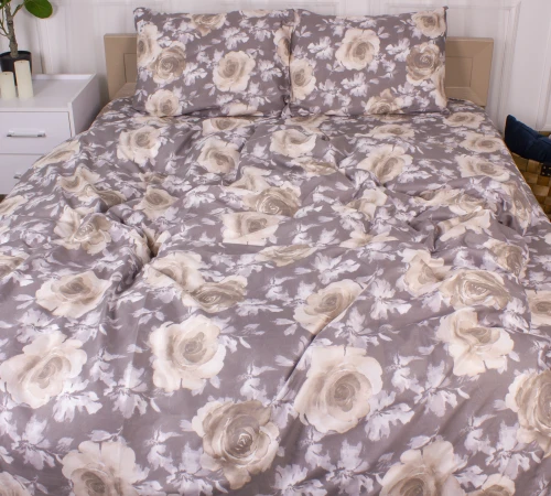 Комплект постельного белья Микрофибра принт 15-0371 Ancient Greeks