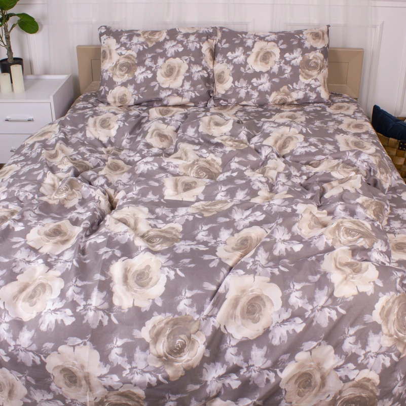 Комплект постельного белья Микрофибра принт 15-0371 Ancient Greeks