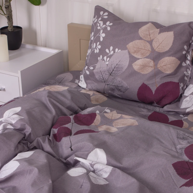 Комплект постільної білизни Мікрофібра принт 15-0362 Phoebus - 5